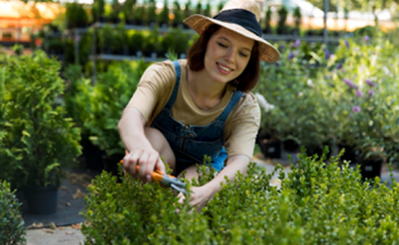 Best ways to light up your garden walkways 2
